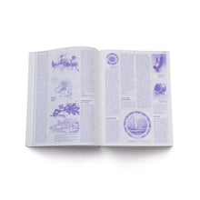 Lade das Bild in den Galerie-Viewer, Transform! Design und die Zukunft von Energie -de