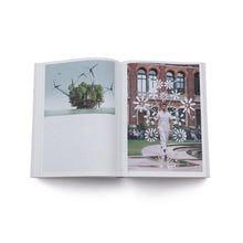 Lade das Bild in den Galerie-Viewer, Transform! Design und die Zukunft von Energie -de