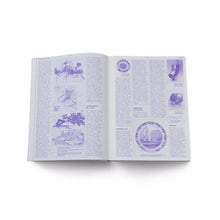 Lade das Bild in den Galerie-Viewer, Transform! Design und die Zukunft von Energie -en