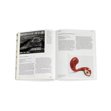 Lade das Bild in den Galerie-Viewer, Plastik. Die Welt neu denken-english